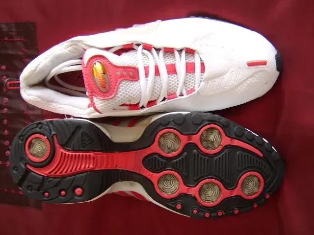 Trainers 002.webp
