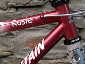 Rosie-2.webp