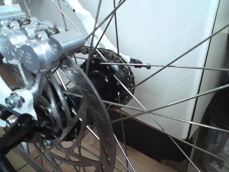 Rear End 2.webp