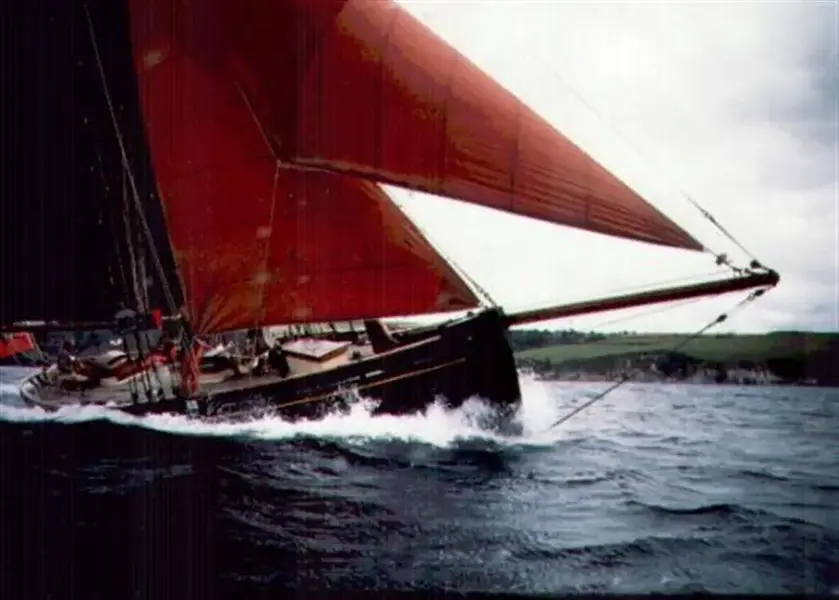 Hirta at speed (Large).webp