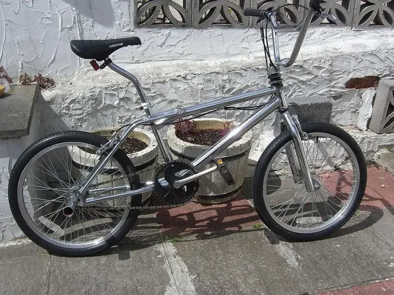 CIMG1328.webp