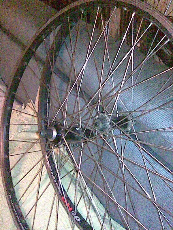 lauras wheels 005.webp