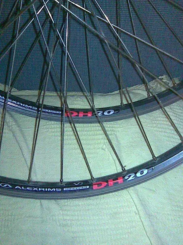 lauras wheels 003.webp