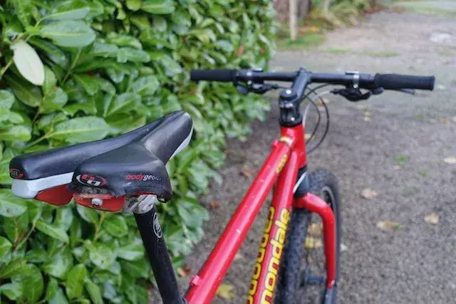 saddle rear angle.webp