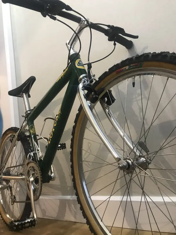 Lotus Campagnolo (2.).webp