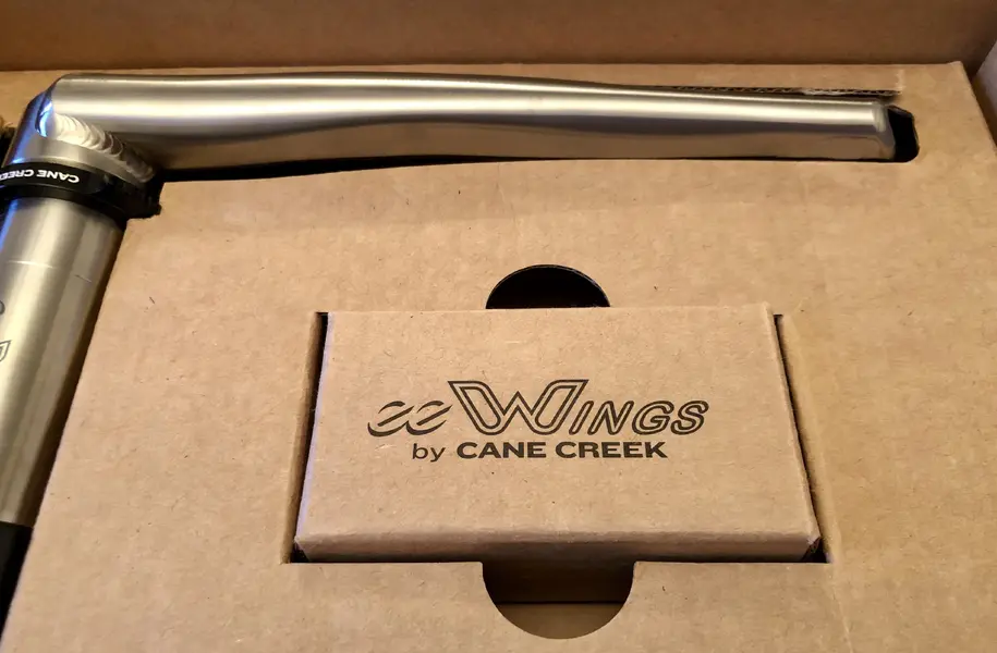 eewing3.webp