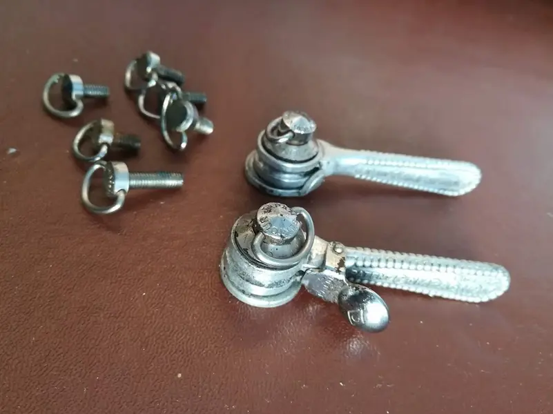 campagnolo shifters 1.webp