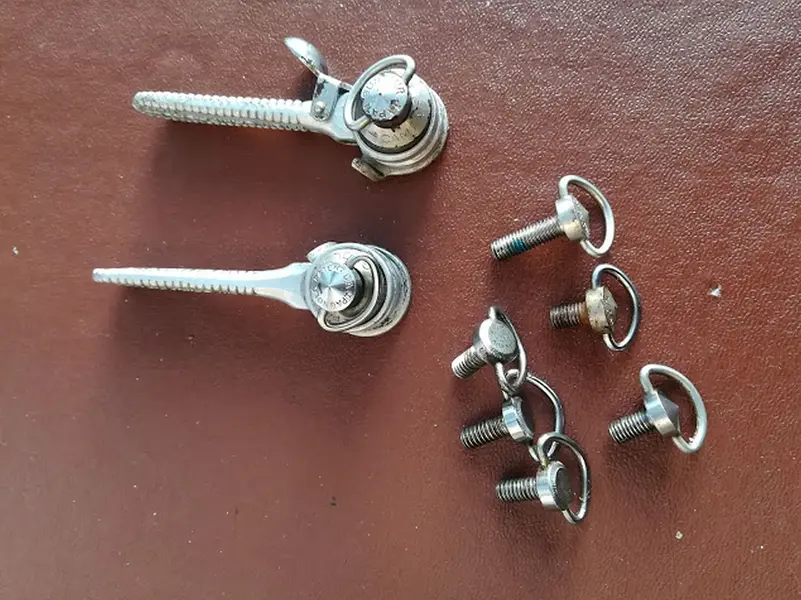campagnolo shifters 2.webp