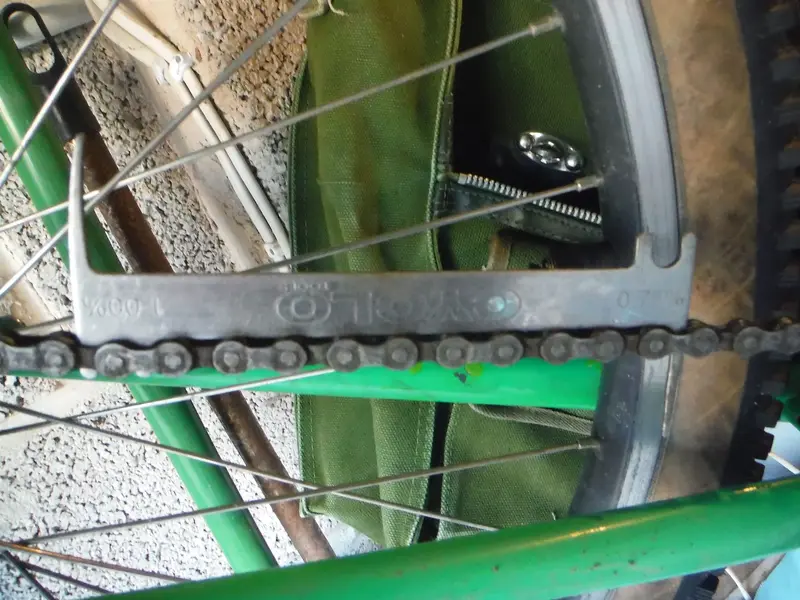 DSCF4355.webp