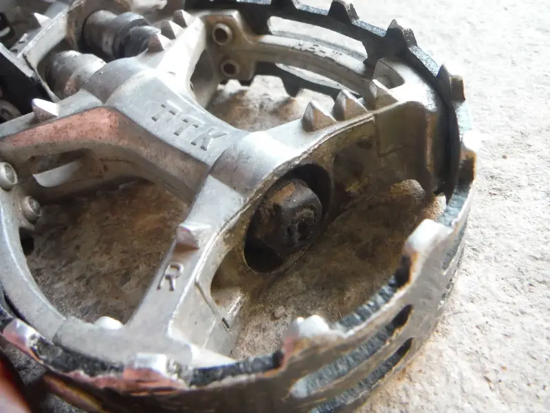 DSCF4358.webp