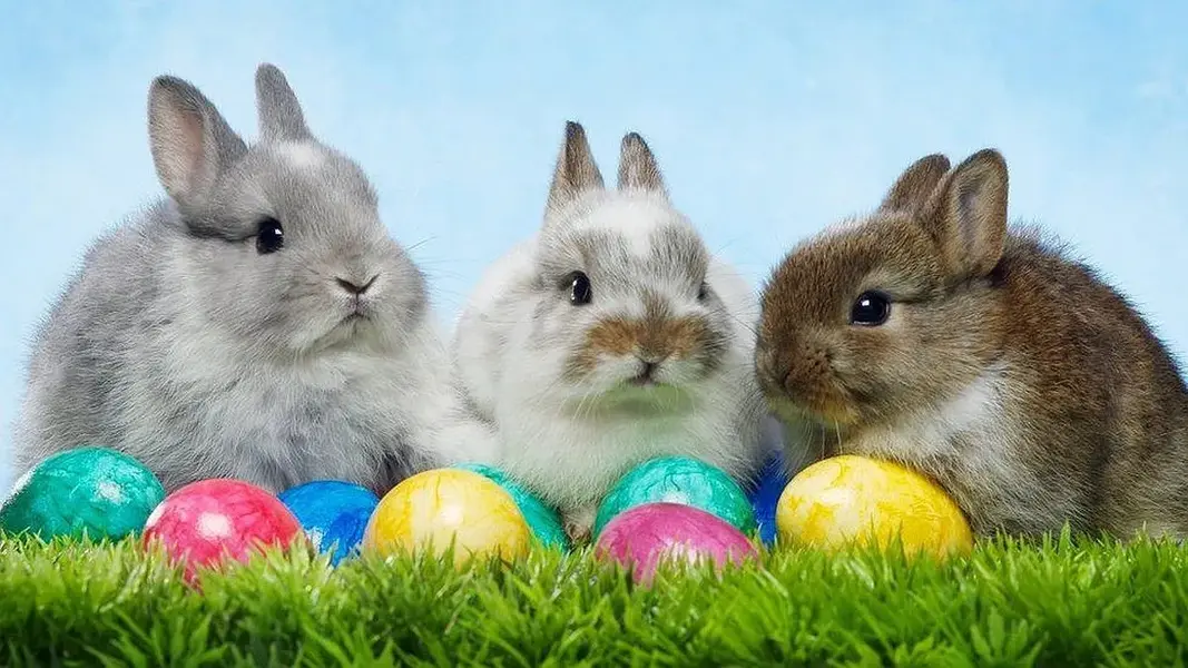 easter 2020.webp