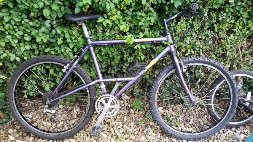 1992 Mountain Expert.webp