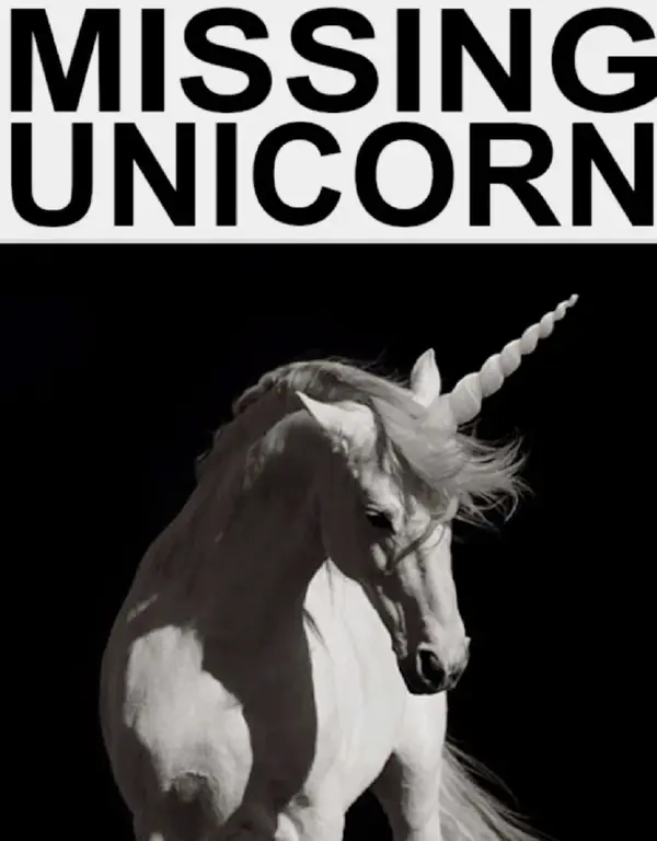1.THE MISSING UNICORN..webp