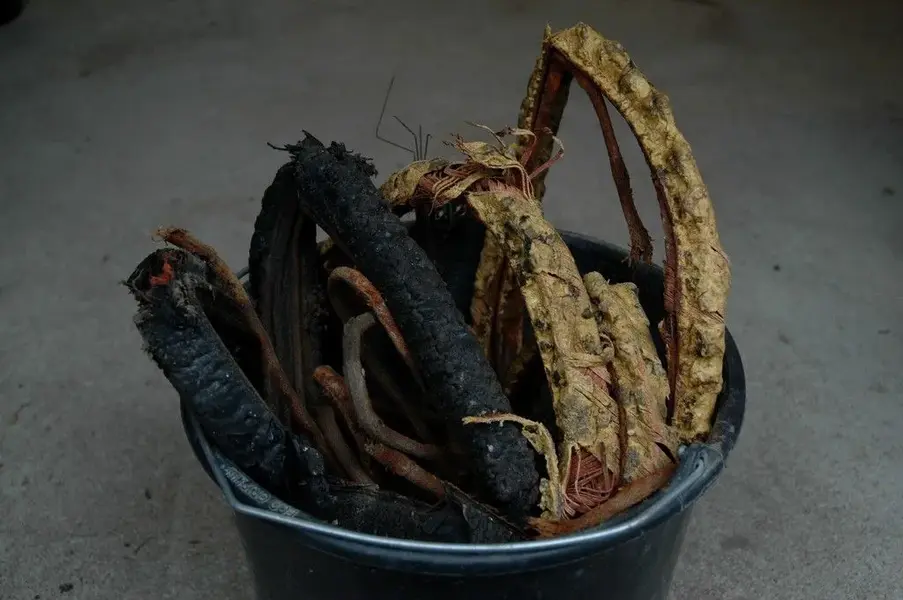 Tyres_Off_rs.webp