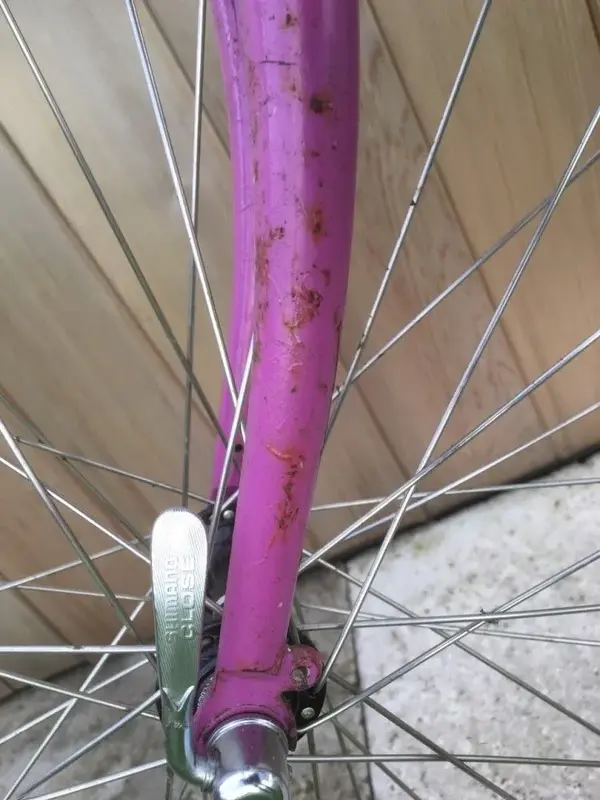saracen patina 3.webp