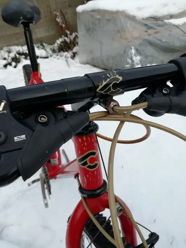 Cinelli detail LR.webp
