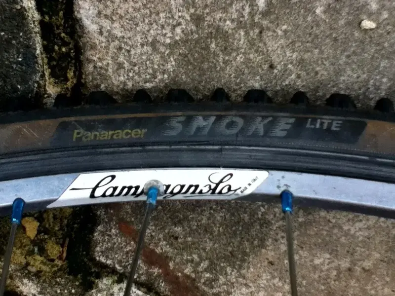 Campagnolo Atek rims 1.webp