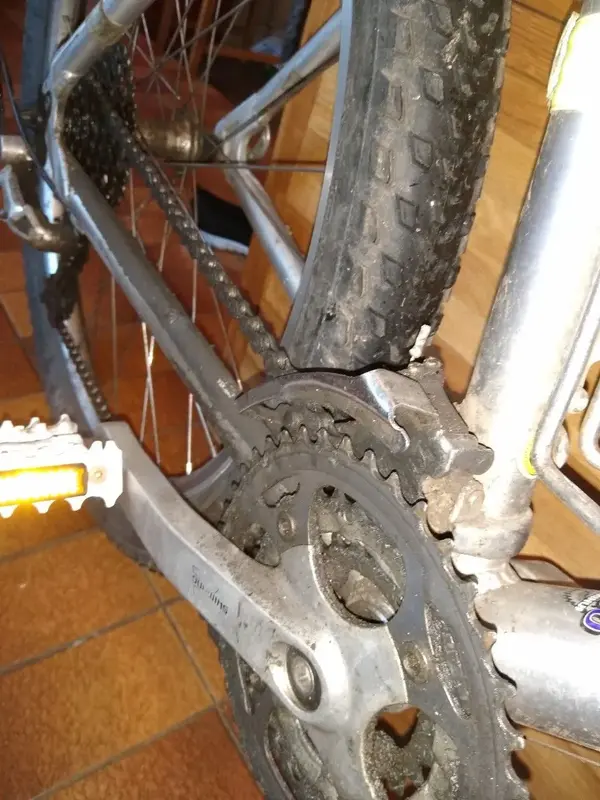 thumbnail_IMG_20200301_152913823.webp