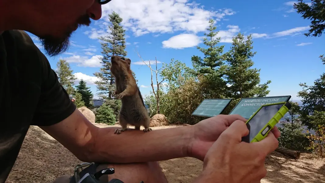 Manitou Squirell.webp