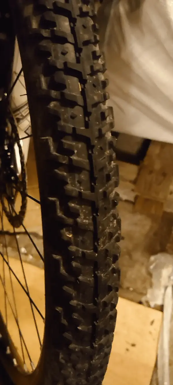 202003_12-194729HdCamera.webp