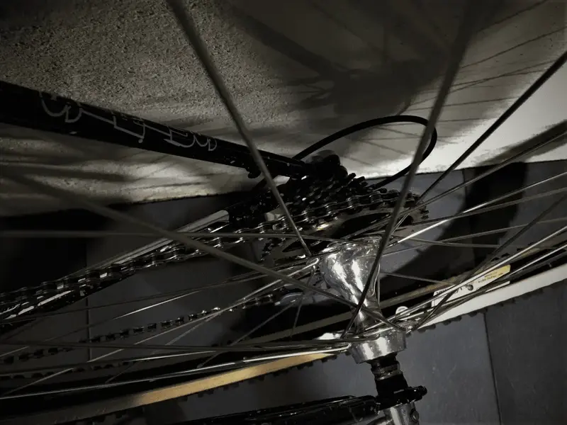 Campag Freehub (2).webp