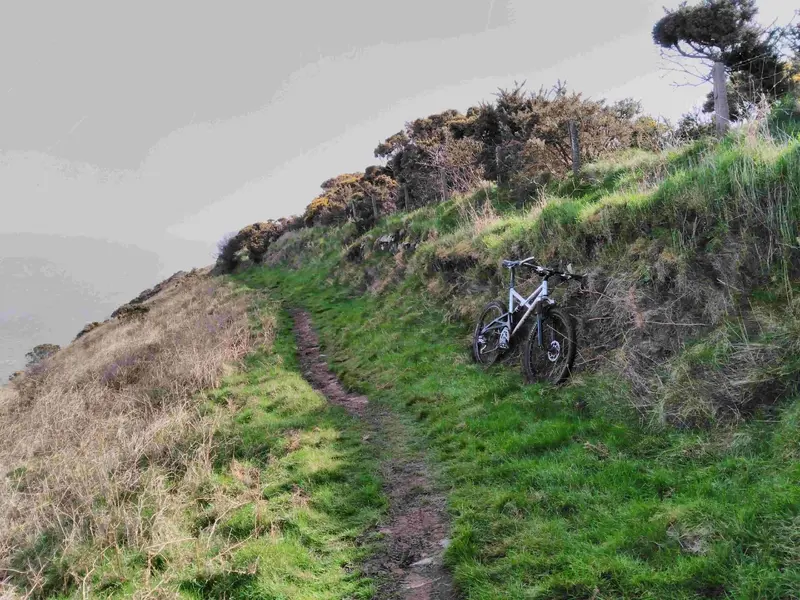 Coast_path_3.webp