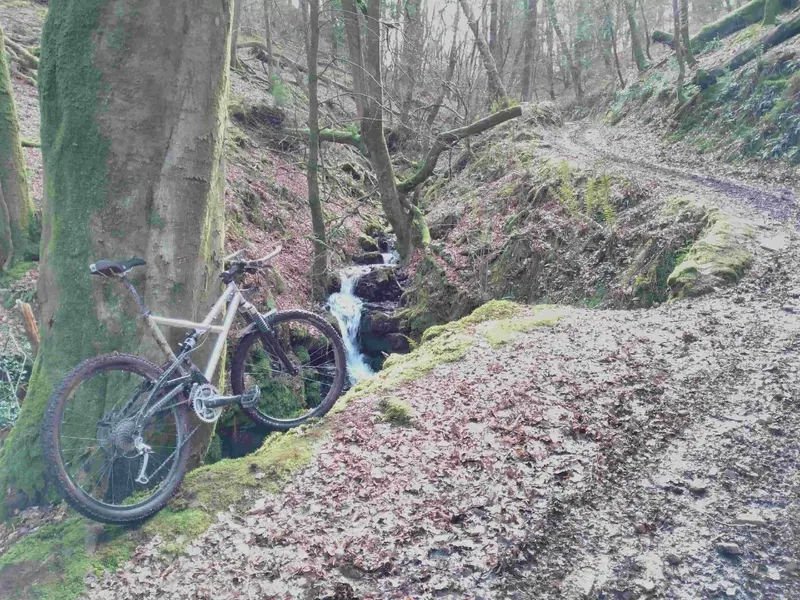 Webbers_Post_Climb.webp