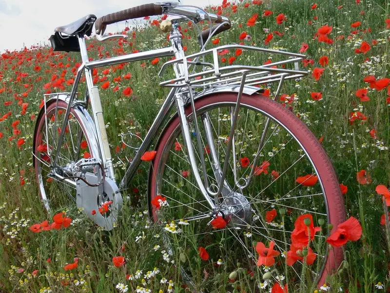 Alex Hatfield Designs, Best Utility Of Show, Handbuilt by Lees Cooper-Bespoke Bristol..webp