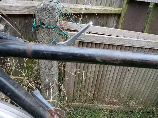 P1020721.webp