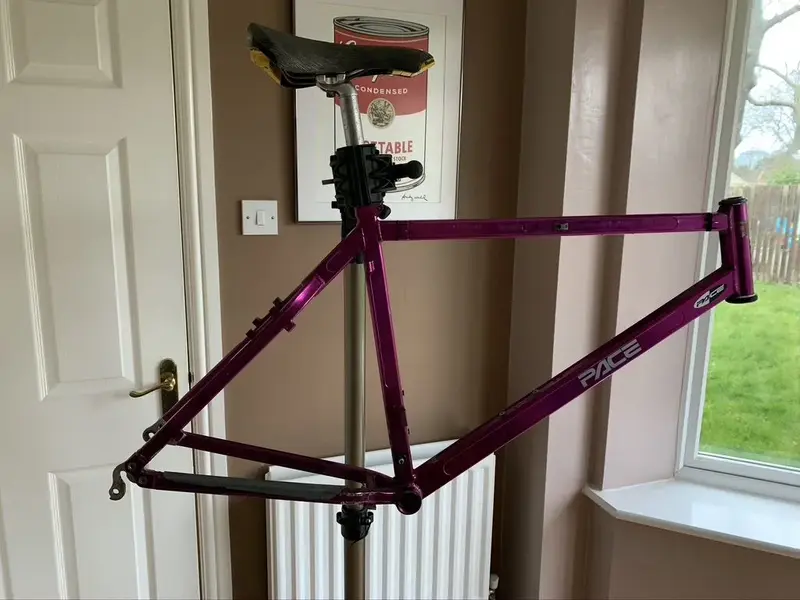 Stripped Down Frame.webp