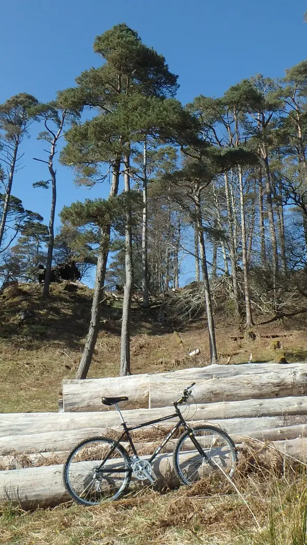 P4133846.webp