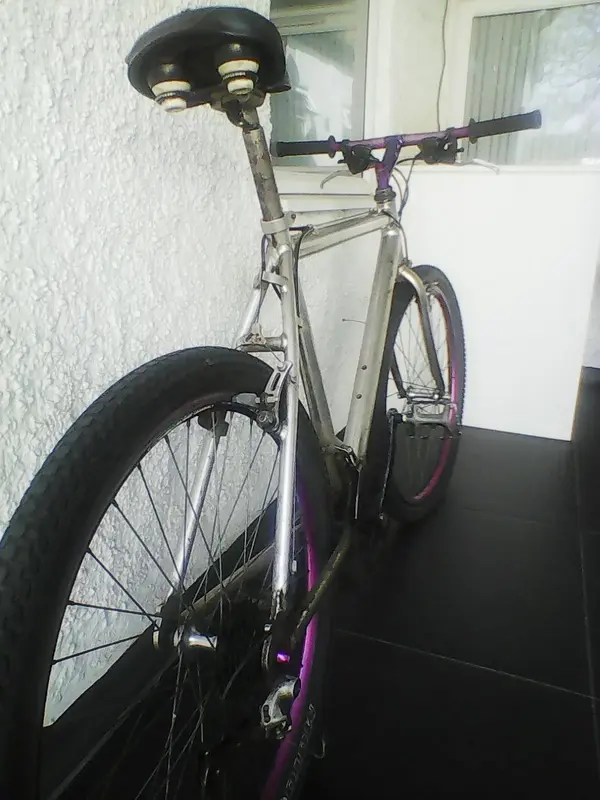 Photo0207.webp