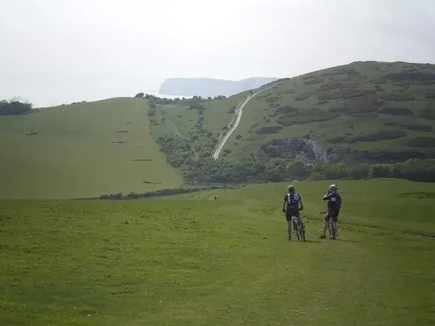 rabbit and wu checking out the climb to come.webp