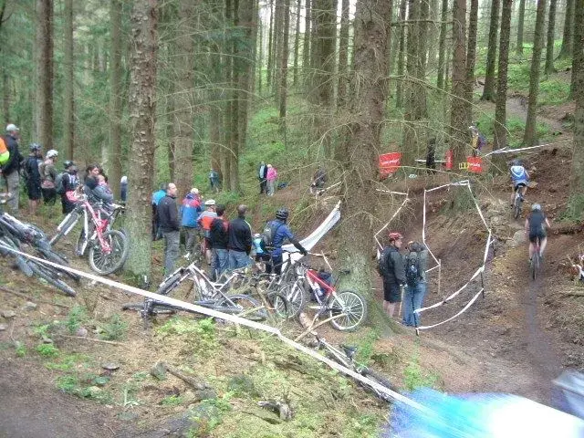 DSCF5375.webp