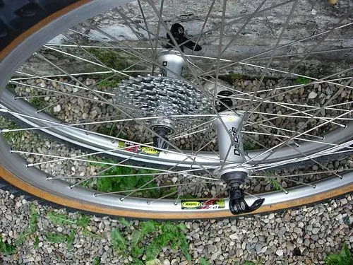 wheel.webp