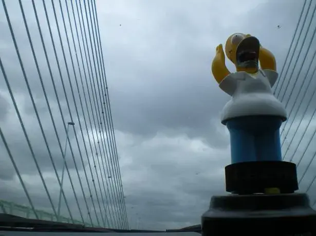 homer says, NO NOT WALES!!!.webp