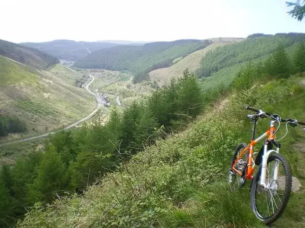 looking down the valley.webp