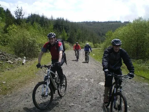 left 2 right, kingsalsa, kirbdug, jango, jonny.webp