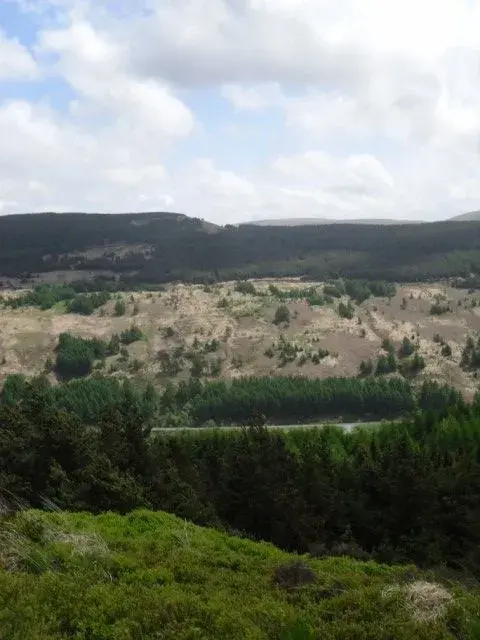 Afan ride 16.5.09 No.2.webp