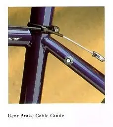 rbc.webp