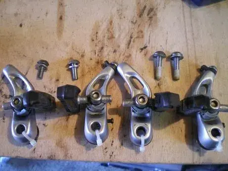 stx canti's.webp