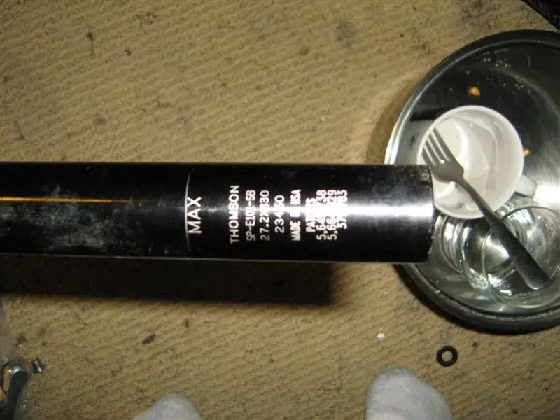 Picture 010 (Medium).webp