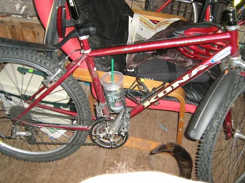 Picture 002 (Medium).webp