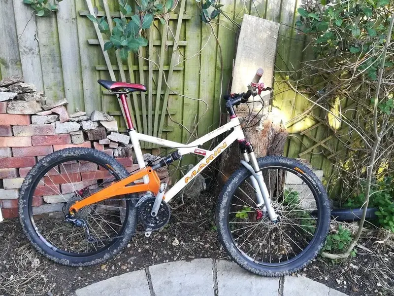 marin dh.webp