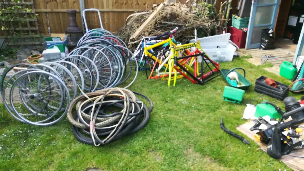 shed sorting.webp