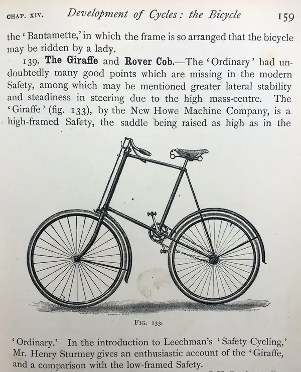 1900-Warwick-Giraffe-1.webp