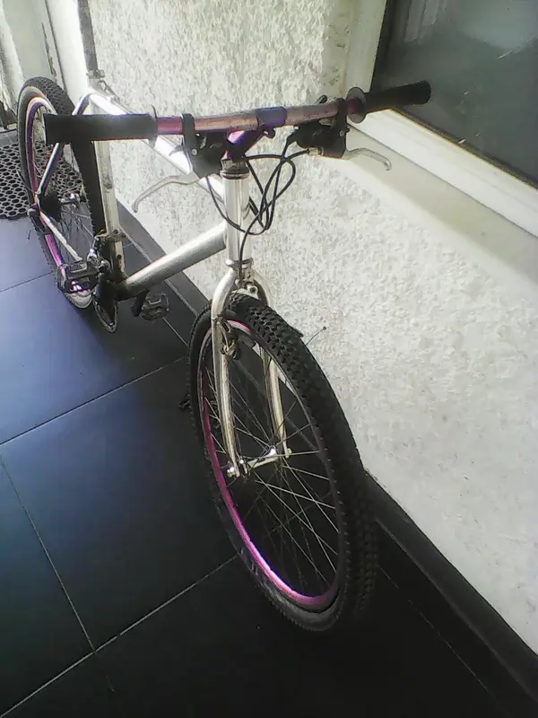 Photo0208.webp