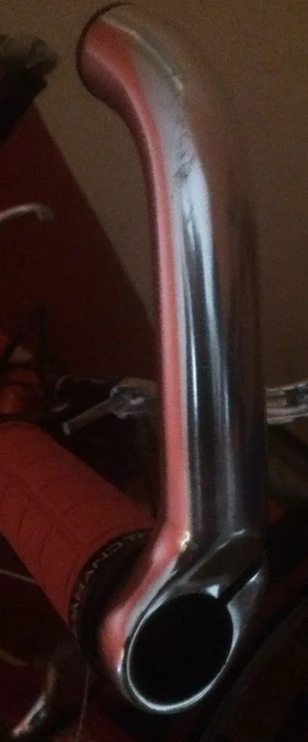 Profile.webp