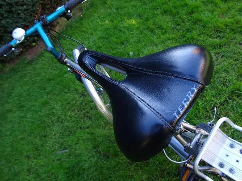 Terry Liberator Saddle.webp