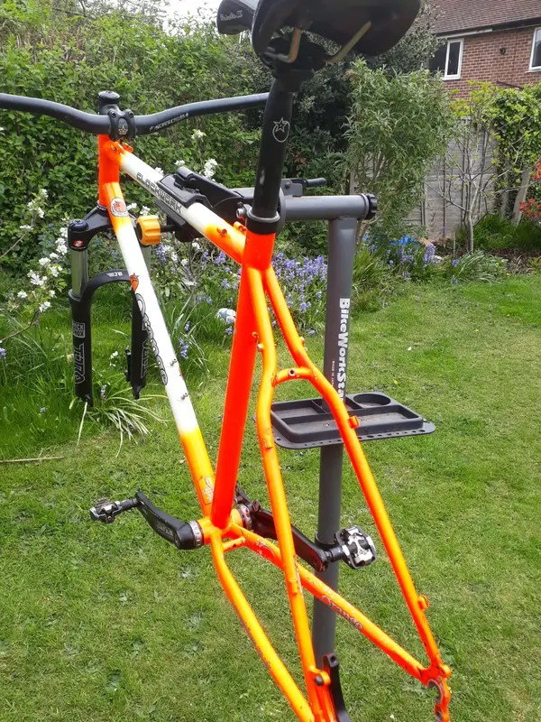orange08.webp